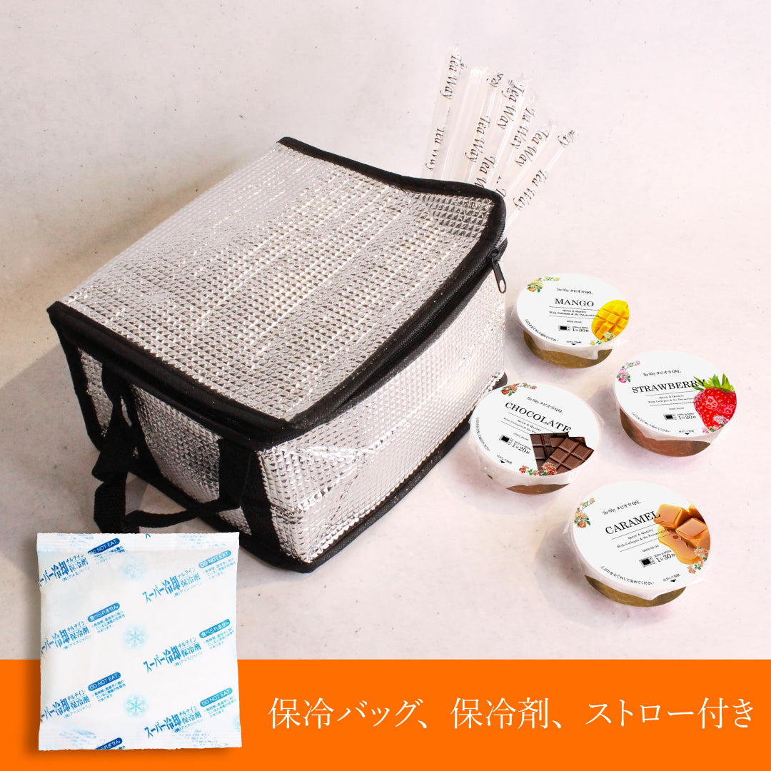 【送料無料】手土産セット(12個セット/保冷バッグ、保冷剤付き)