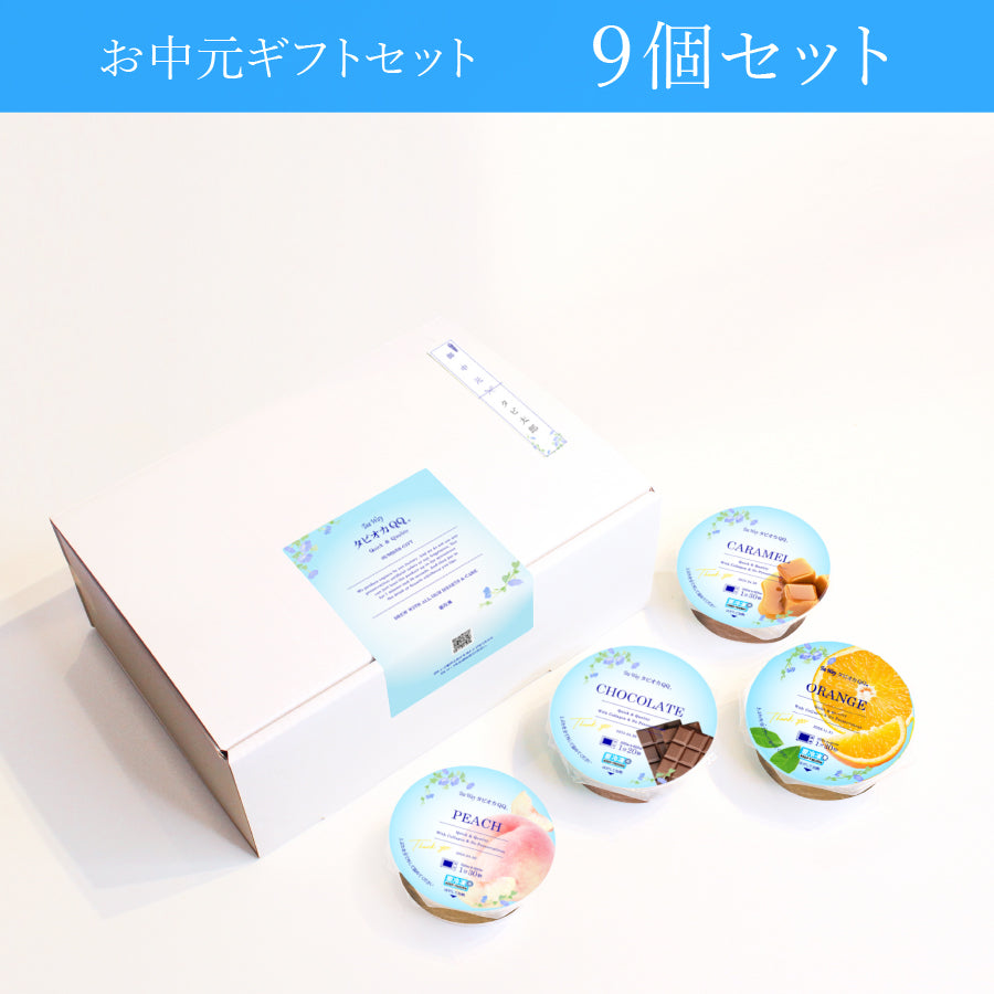 お中元ギフトセット（9個セット）